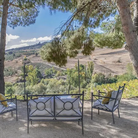 Lantställe Mimosas *